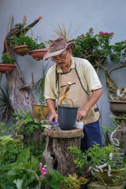 Bir adam bahçede adım adım Bougainvillea çiçeği naklediyor.