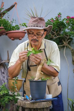 Bir adam bahçede adım adım Bougainvillea çiçeği naklediyor.