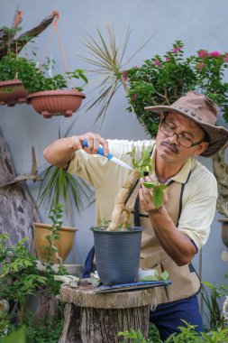 Bir adam bahçede adım adım Bougainvillea çiçeği naklediyor.