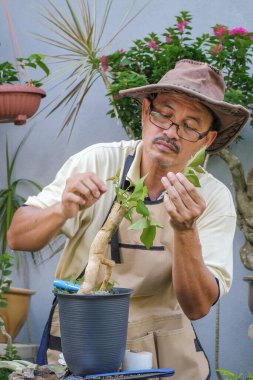 Bir adam bahçede adım adım Bougainvillea çiçeği naklediyor.