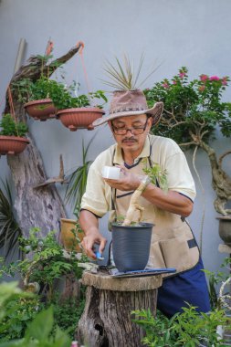 Bir adam bahçede adım adım Bougainvillea çiçeği naklediyor.