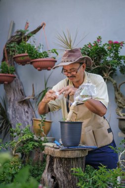 Bir adam bahçede adım adım Bougainvillea çiçeği naklediyor.