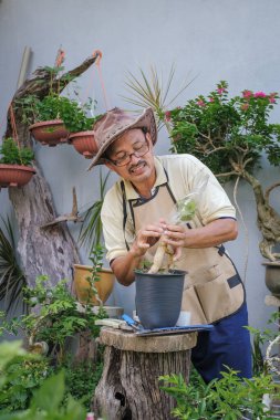 Bir adam bahçede adım adım Bougainvillea çiçeği naklediyor.