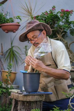 Bir adam bahçede adım adım Bougainvillea çiçeği naklediyor.