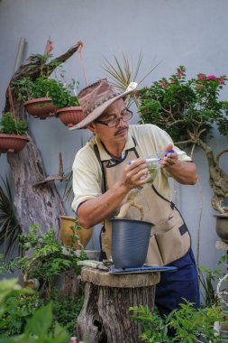 Bir adam bahçede adım adım Bougainvillea çiçeği naklediyor.