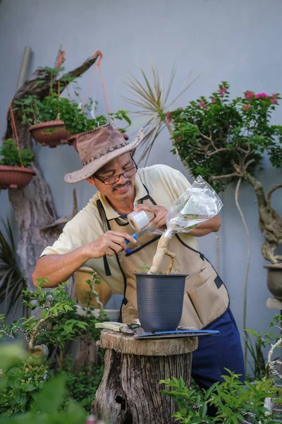 Bir adam bahçede adım adım Bougainvillea çiçeği naklediyor.