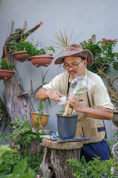 Bir adam bahçede adım adım Bougainvillea çiçeği naklediyor.