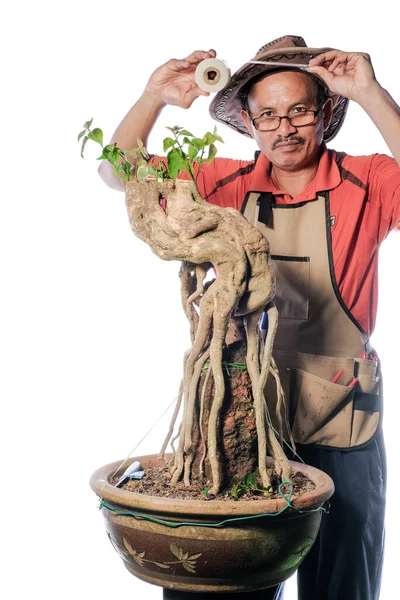 Ein Mann Pfropft Bougainvillea Blumenbaum Schritt Für Schritt Isoliert Auf — Stockfoto