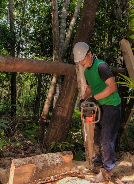 Neznámý Dřevorubec Řezající Dřevěné Klády Používá Motorovou Motorovou Pilu Jako — Stock fotografie