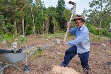 Son sınıf öğrencisi yeni meyve bahçesine durian ağacı dikiyor. Dünya konseptini, doğayı, çevreyi ve ekolojiyi kurtarmak için..