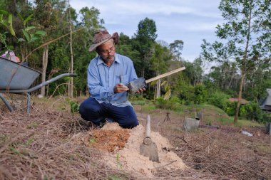 Son sınıf öğrencisi yeni meyve bahçesine durian ağacı dikiyor. Dünya konseptini, doğayı, çevreyi ve ekolojiyi kurtarmak için..