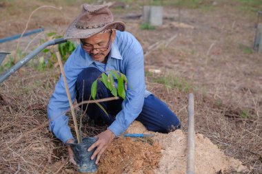 Son sınıf öğrencisi yeni meyve bahçesine durian ağacı dikiyor. Dünya konseptini, doğayı, çevreyi ve ekolojiyi kurtarmak için..