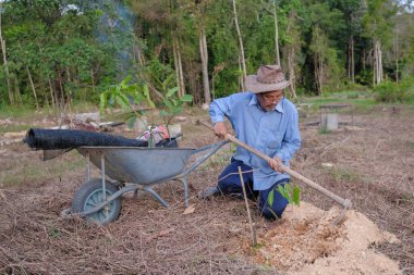 Son sınıf öğrencisi yeni meyve bahçesine durian ağacı dikiyor. Dünya konseptini, doğayı, çevreyi ve ekolojiyi kurtarmak için..