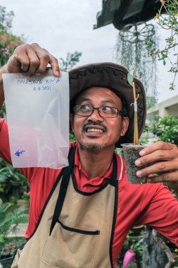 Bahçıvan durian ağacını aşıladı. Bahçıvan bitki üretimi için soğuk ve nemli bir ortam sağladı..