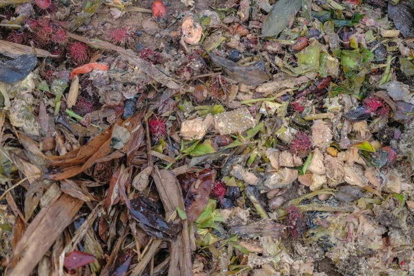 Daur Ulang Bahan Organik Biodegradable Dan Limbah Rumah Tangga Dalam — Stok Foto