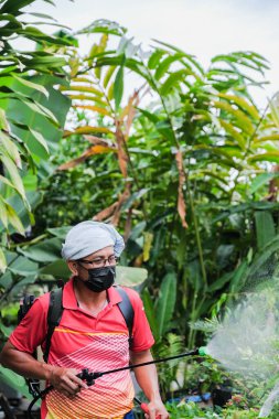 İşçiler bahçedeki çiçek ağacına böcek ilacı sıkıyorlar. Haşere kontrolü