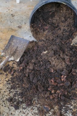 Organik geri dönüşümlü biyolojik çözünebilir malzeme ve ev atıkları komposterde. En iyi organik gübre.