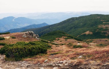 Dağın tepesindeki sonbahar manzarası