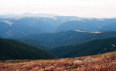Dağın tepesindeki sonbahar manzarası