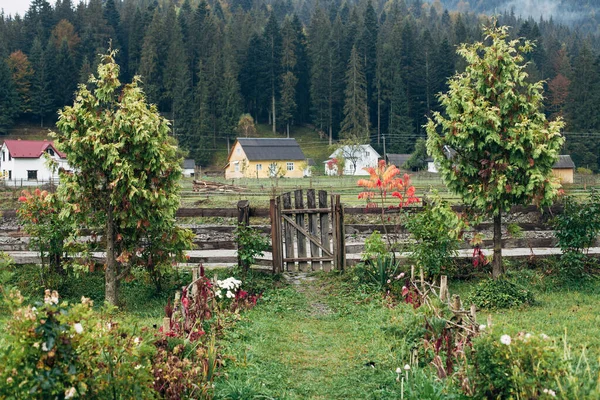 Rural Autumn Landscape Mountains — Stock Photo, Image