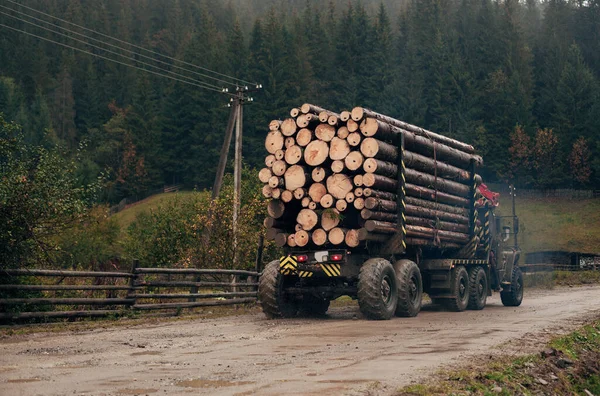 Ein Holzlaster Transportiert Brennholz — Stockfoto