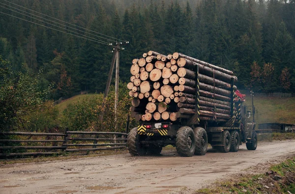 Camión Madera Lleva Leña —  Fotos de Stock