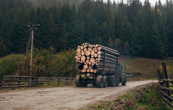 Ein Holzlaster Transportiert Brennholz lizenzfreie Stockbilder