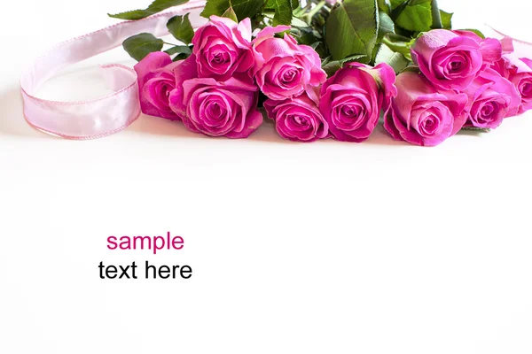Pink red rose background — Stock Photo, Image