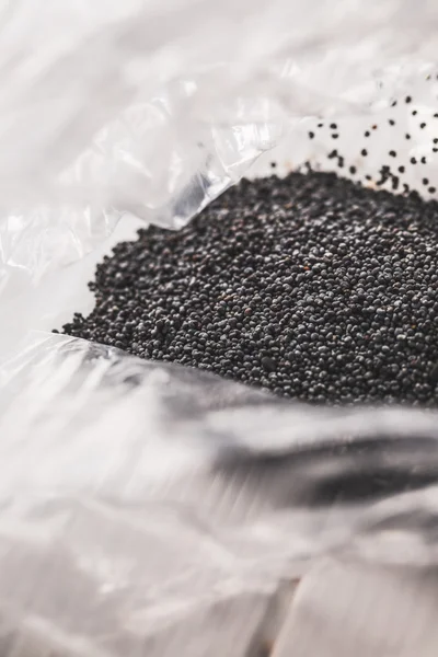 Poppy seeds detail — Stock Photo, Image