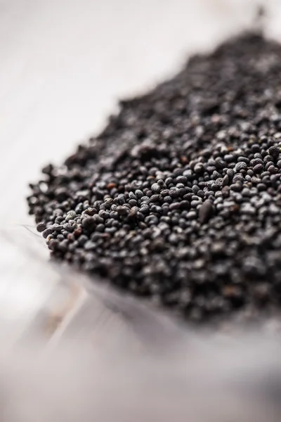 Poppy seeds detail — Stock Photo, Image