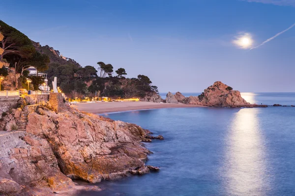 Tossa de mar — Foto de Stock