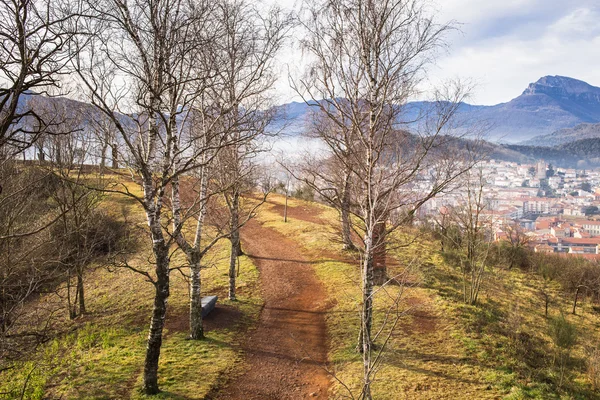 Olot — Stockfoto