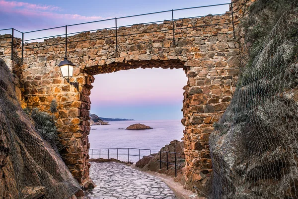 Tossa de mar — Foto de Stock