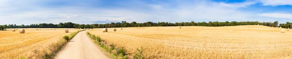 Straw field panorama — Stock Photo, Image