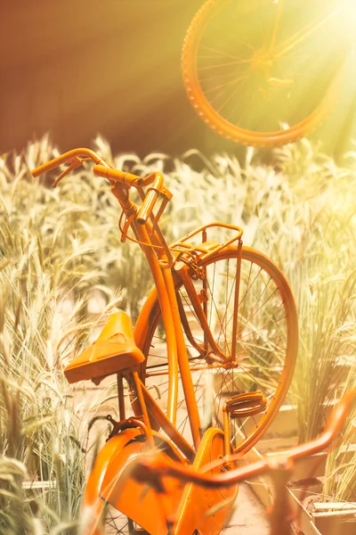 Vieja bicicleta naranja —  Fotos de Stock