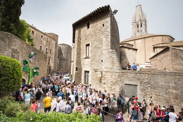 Girona temps de flors —  Fotos de Stock