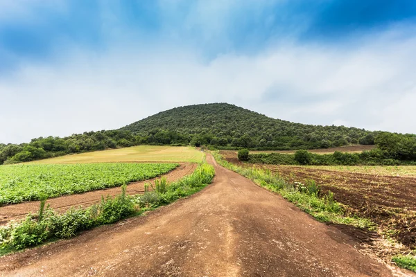 El Croscat — Stockfoto