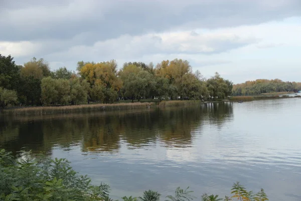Отражение Осеннего Парка Воде — стоковое фото