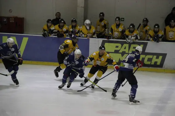 Hockey Match Kiev Club Falcons Team Bila Tsherkva Leopard Ukrainian — Stock Photo, Image