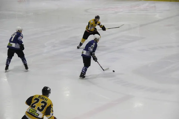 Partido Hockey Entre Club Kiev Falcons Equipo Bila Tsherkva Leopard —  Fotos de Stock