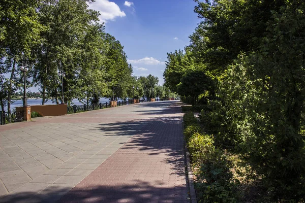 Schilderstuk Van Zomer Park — Stockfoto