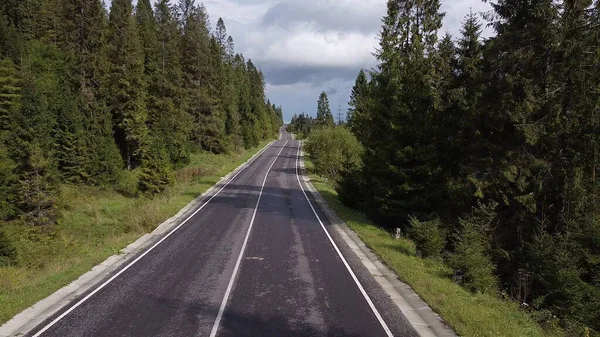 Volo aereo a bassa aria sopra la montagna perfetta strada asfaltata e prato in soleggiata mattina d'estate. Vicino a alberi verdi. Veloce movimento orizzontale con raggi solari. — Foto Stock