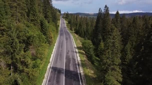 Serbia z lotu ptaka. Drone lot nad górami nad drogą, która wieje między górami z pięknym widokiem na zielone drzewa i klify. — Wideo stockowe
