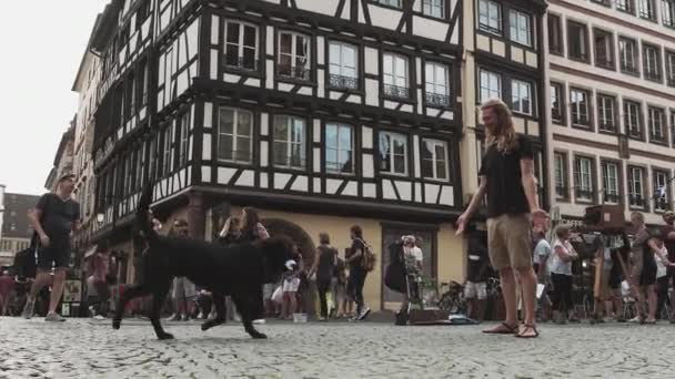 Fransa, Strasbourg Eski şehrin merkezinde, bir köpek sahibine su getirir. — Stok video