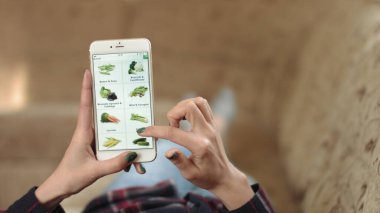Evdeki Kadın Oturma Odasında Kanepede Uzanıyor İnternet 'ten Akıllı Telefon Alıyor. Çevrimiçi bir mağazada akıllı telefon kullanarak yemek sipariş eden bir kadın. Kadın marketten Sebze Seçiyor. Sebze mi? POV