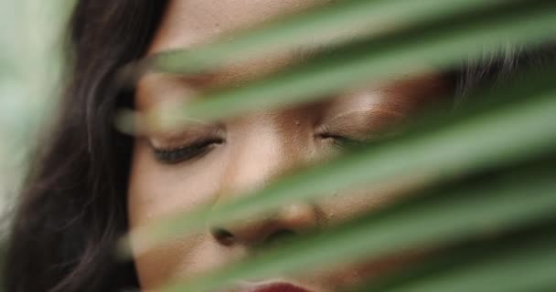 Όμορφο κορίτσι Αφροαμερικανός με μαυρισμένο δέρμα θέτει και περπατά ανάμεσα σε τροπικά φυτά. Φυσικό μακιγιάζ και βρεγμένα μαλλιά σε ένα κορίτσι amazon. Φυσικά καλλυντικά, θεραπείες σπα. Διαφήμιση αρωμάτων. Κοντινό πλάνο — Αρχείο Βίντεο