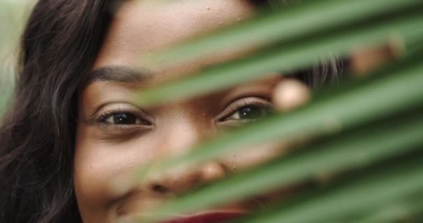 Mooi meisje Afro-Amerikaans met gebruinde huid houdt rode exotische bloem in haar handen zijnde tussen de tropische planten. Natuurlijke make-up en nat haar in meisje amazon. Natuurlijke cosmetica, spa-procedures. — Stockvideo