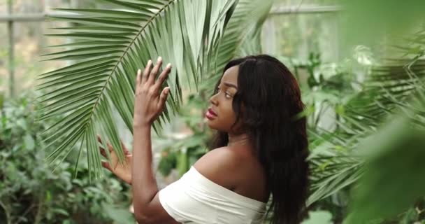 Hermosa chica afroamericana con piel bronceada sostiene flor roja exótica en sus manos estando entre las plantas tropicales. Maquillaje natural y cabello húmedo en chica amazon.Botanical Garden. Cosmética natural — Vídeo de stock