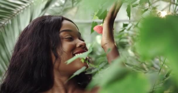 Young beautiful African American woman with natural makeup in the rainforest, botanical garden. The girl holds a small rare flower near her face and smiles. Closeup portrait of young mixed race beauty — Vídeo de stock