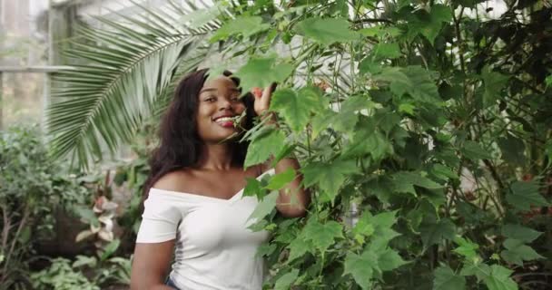 Portrait of beautiful young girl African American in greenhouse smiling and looking at camera. Modern farming, happy youth and profession concept. Elegant young girl. Holds a rare flower in his hand. — 图库视频影像